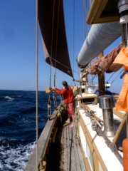 thumbs/transat-voile-Tigara-08-sous-foc-seul-(et-moteur)-dans-la passe.JPG